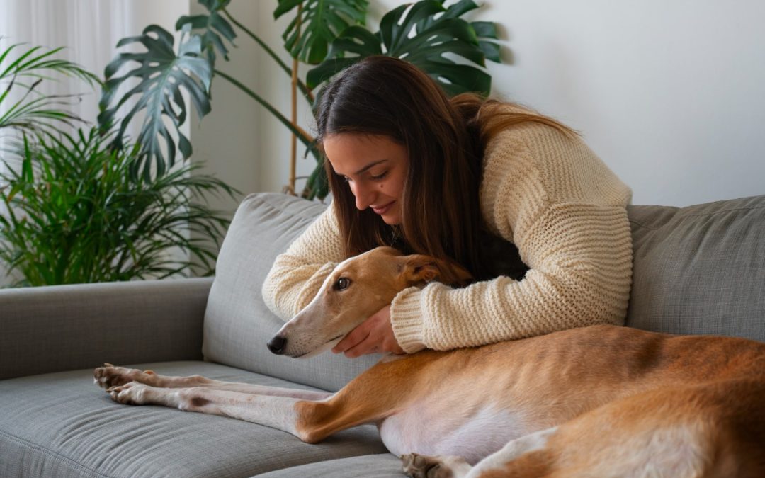 duelo por perdida de una mascota